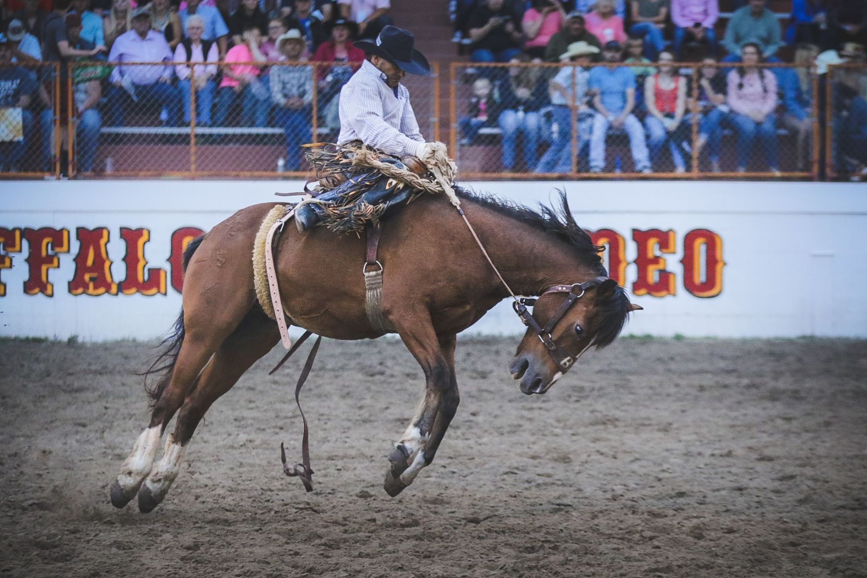Buffalo Bill Rodeo Night 2 (24).jpg